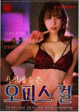 城西旧事剧集封面